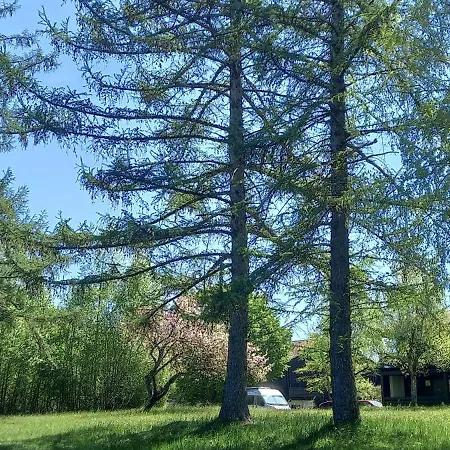 Vorauf Knabenkraut 6 Apartamento Siegsdorf